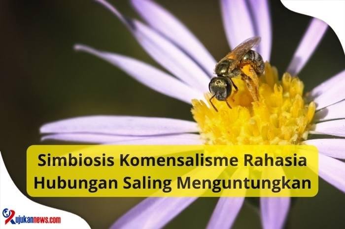 Simbiosis Komensalisme Rahasia Hubungan Saling Menguntungkan