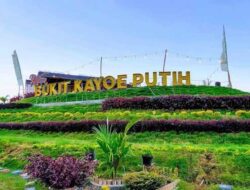 Wisata Bukit Kayu Putih Selalu Bikin Nagih, Tempat Ramai yang Tidak Pernah Sepi Pengunjung!