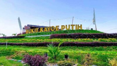wisata bukit kayu putih