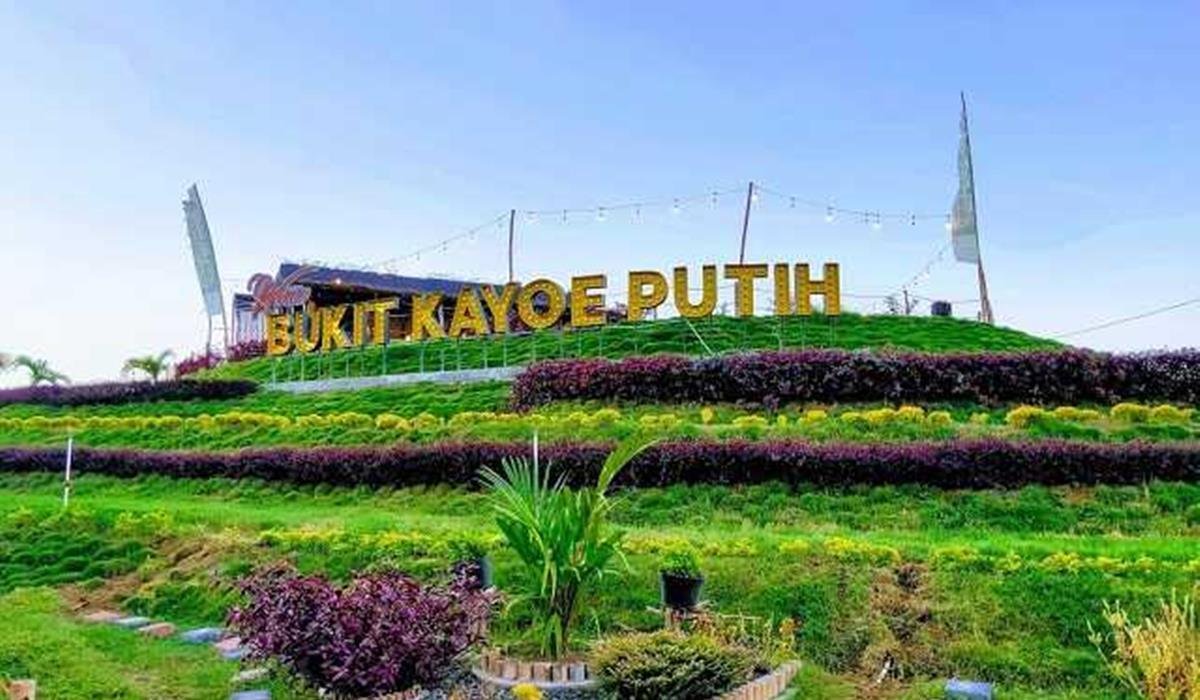 wisata bukit kayu putih