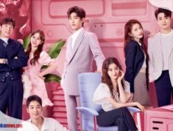 Nonton Drama China Cute Programmer Sub Indo (2021), Kisah Lu Li yang Jatuh Cinta!