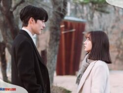 Nonton Drama My Roommate is A Gumiho (2021) Sub Indo, Kisah Mitologis Rubah Ekor Sembilan!