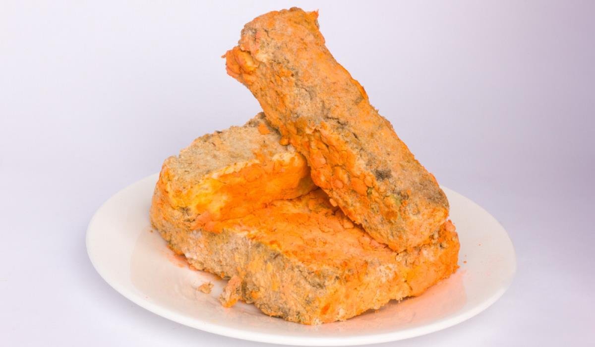 mikroorganisme oncom