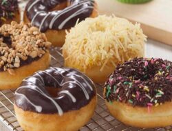 Tentang Mikroorganisme Donat, Fermentasi, Pengembangan, Serta Manfaatnya Bagi Makanan yang Kita Konsumsi Setiap Hari!