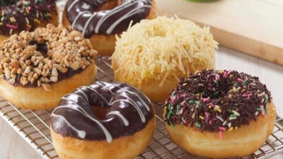 mikroorganisme donat