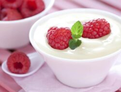 4 Jenis Mikroorganisme Yogurt yang Wajib Kalian Ketahui, Beserta Manfaatnya Bagi Kehidupan Manusia!