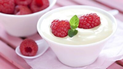 mikroorganisme yogurt