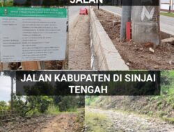 Polesan Cantik di Tengah Jalan Berlubang