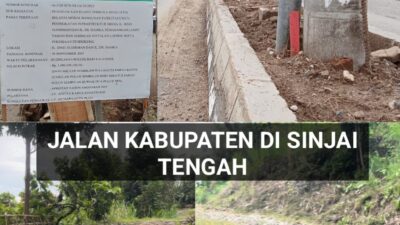 Polesan Cantik di Tengah Jalan Berlubang