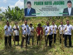 Rutan Sinjai Panen Raya Jagung, Bukti Nyata Dukungan terhadap Program Ketahanan Pangan Nasional