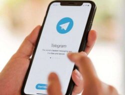 Mudah Sekali! Berikut Ini 3 Cara Menyimpan Video Dari Telegram Ke Galeri!