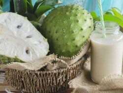 Mengobati Herpes? Ini Dia 5 Manfaat Jus Sirsak yang Wajib Kalian Ketahui!