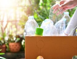 Bikin Inovasi Baru! 5 Ide Usaha Kreatif yang Sangat Cocok Bagi Pebisnis Pemula!