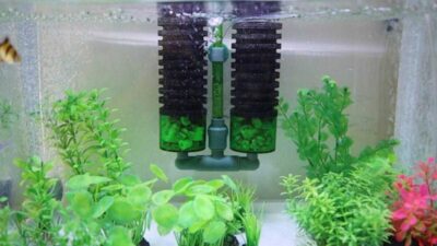 Sirkulasi Air Jadi Lancar! Ini Dia 5 Fungsi Selang Kecil Pada Filter Aquarium yang Wajib Kalian Tahu!