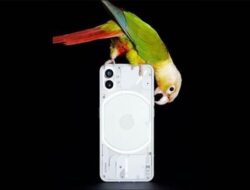 Nothing Phone 1, HP yang Berani Tampil Beda