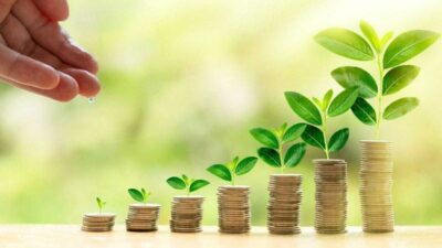 Pahami Dulu! Ini Dia 5 Jenis-Jenis Investasi Reksadana yang Wajib Kalian Ketahui!