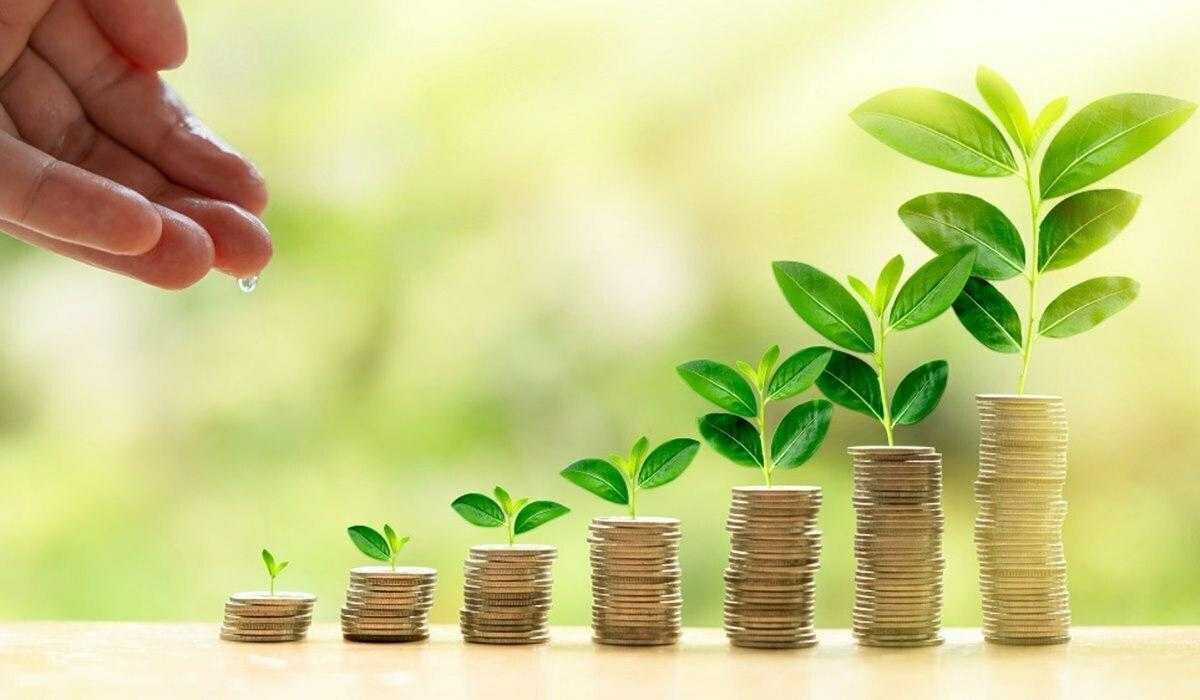 investasi reksadana