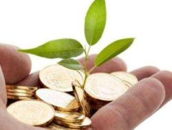 Bebas Riba! Inilah 5 Jenis Investasi Syariah yang Bisa Kalian Coba Sendiri!