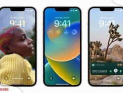 iOS 16.0.2, Update Penting Bagi Pengguna iPhone, Apa Saja Fitur-fitur Menariknya?