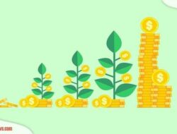 5 Jenis Investasi Reksadana Untuk Pemula, Pahami Dulu Yuk!