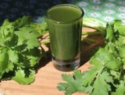 8 Cara Membuat Jus Seledri yang Sangat Mudah dan Simple, Praktekkan Sendiri Di Rumah Ya!