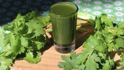 jus seledri