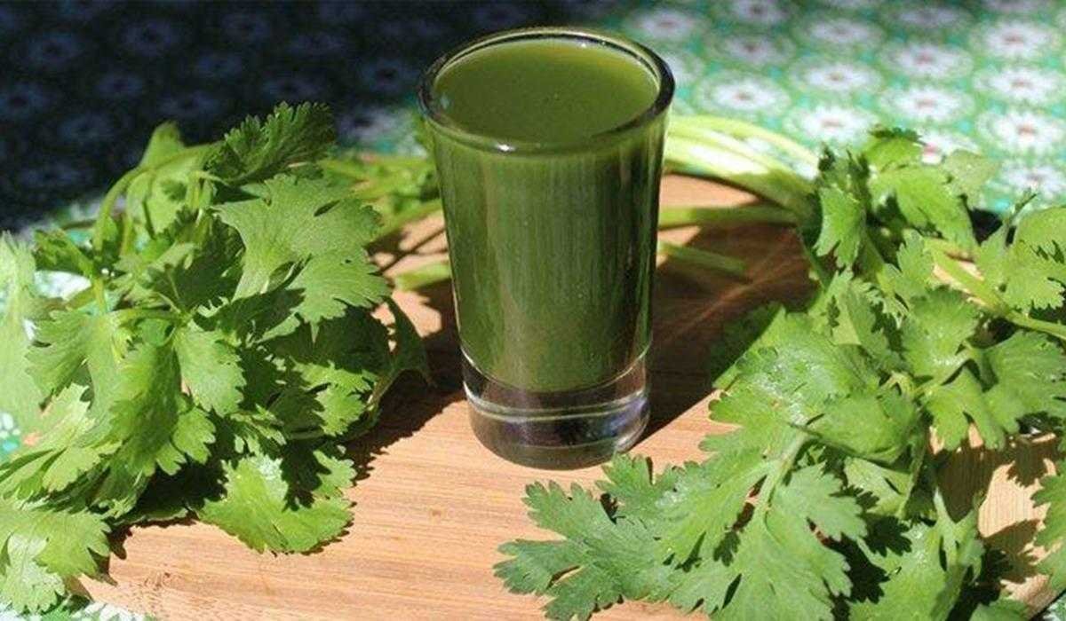 jus seledri