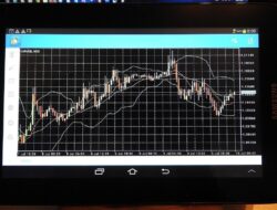 Inilah Tips dan Cara Trading Forex Profit Terus