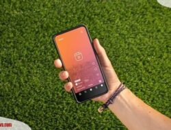 5 Cara Download Video IG Tanpa Aplikasi (Update Terbaru 2022)