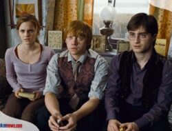 Nonton Film Harry Potter 1-8 Sub Indo, Menjelajah di Dunia Sihir yang Penuh Misteri!