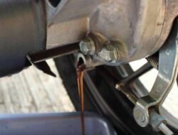 Wajib Tahu! Ini 5 Fungsi Oli Gardan Pada Mesin Kendaraan