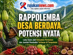 Di Tengah Sorotan Dana Desa, Rappolemba Tunjukkan Kekuatan Besar Labu Siam dan Jumlah Penduduk