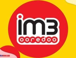 4 Cara Cek Kuota Indosat Terbaru untuk Pemula, Baik Pengguna Android dan iOS!