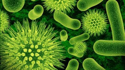 4 Manfaat Probiotik Bagi Kesehatan Tubuh Kita, Kalian Wajib Tahu!