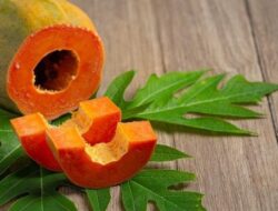 Ini 6 Manfaat Daun Pepaya untuk Kesehatan Tubuh