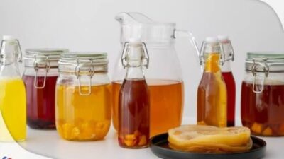 manfaat kombucha
