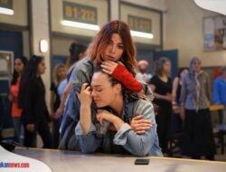 Nonton Film Avlu The Yard Sub Indo 2018, Drama Turki yang Memiliki Cerita Bagus!