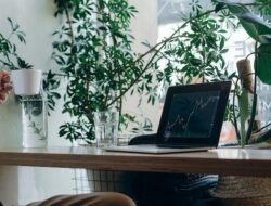 Inilah 5 Cara Money Management Trading Dengan Benar