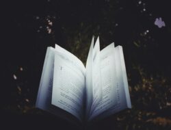 5 Aplikasi Novel Gratis Tanpa Beli Koin Terbaik, Harus Punya!