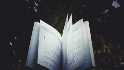 aplikasi novel gratis tanpa beli koin
