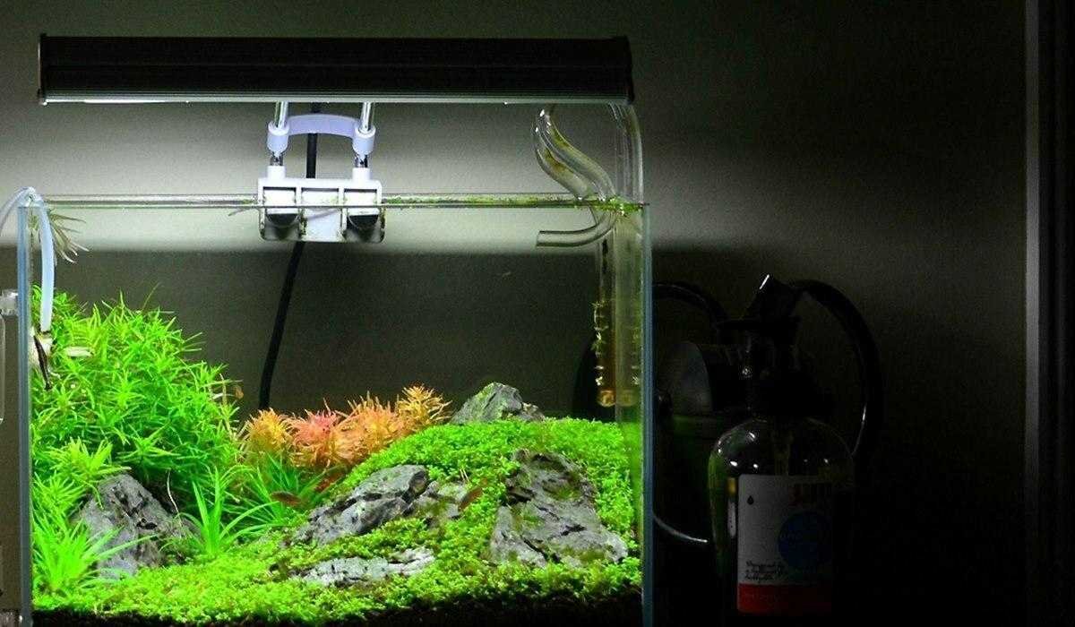 filter aquarium
