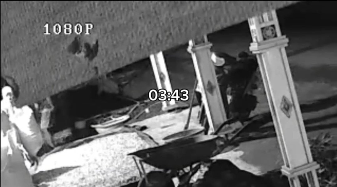 Rekaman CCTV dugaan pencurian kopi di Dusun Lembayya, Desa Rappolemba, Tompobulu, Gowa.