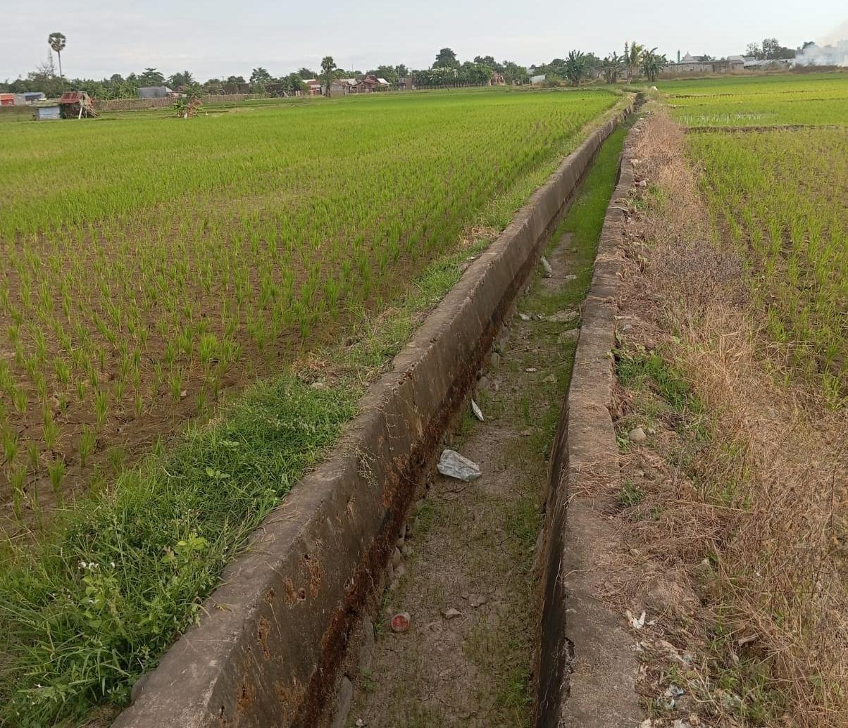 Keluhan petani Lembang Parang terkait sawah mengering mendapat penjelasan dari PPA. Air disebut lambat sampai ke area persawahan akibat keterlambatan pengaliran dan banyaknya sedimen di saluran tersier.