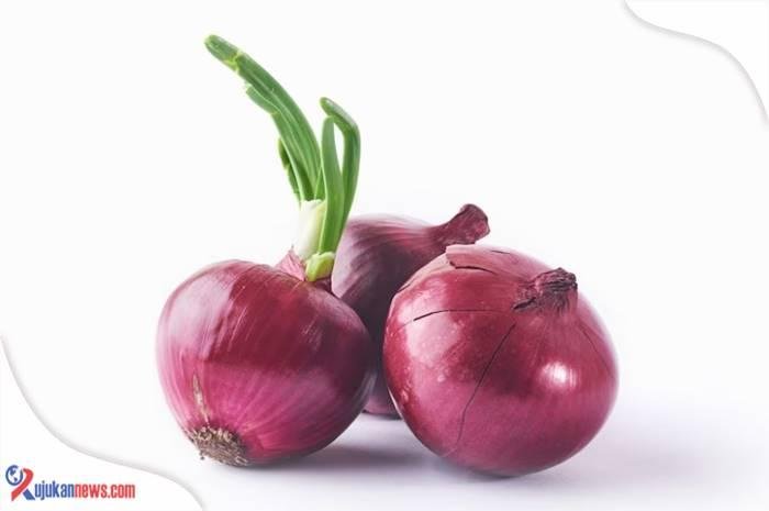cara menanam bawang merah